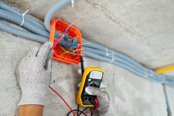 Best Electrical System Inspection  in Carbon Hill, AL